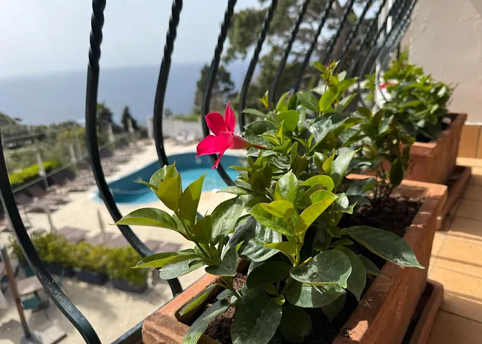 德拉皮科拉玛莉娜酒店 酒店 卡普里