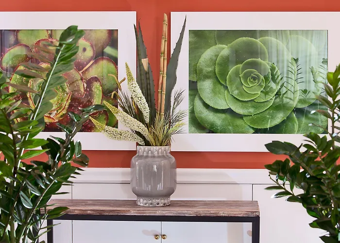 德拉皮科拉玛莉娜酒店 4* 卡普里