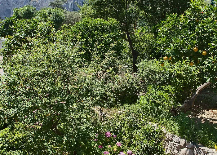 德拉皮科拉玛莉娜酒店 酒店