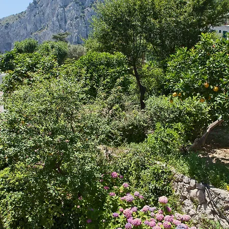 Della Piccola Marina Hotel